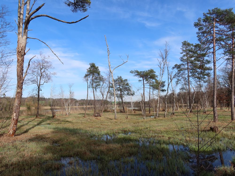 Ried am Katzensee