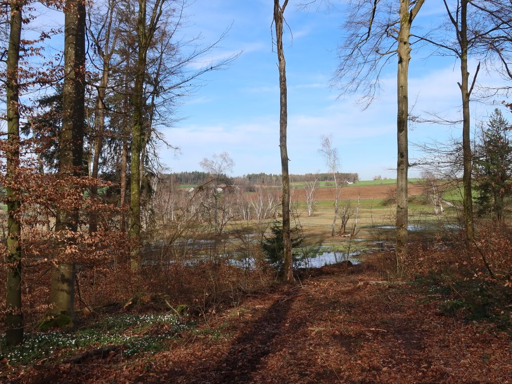 Oberer Katzensee