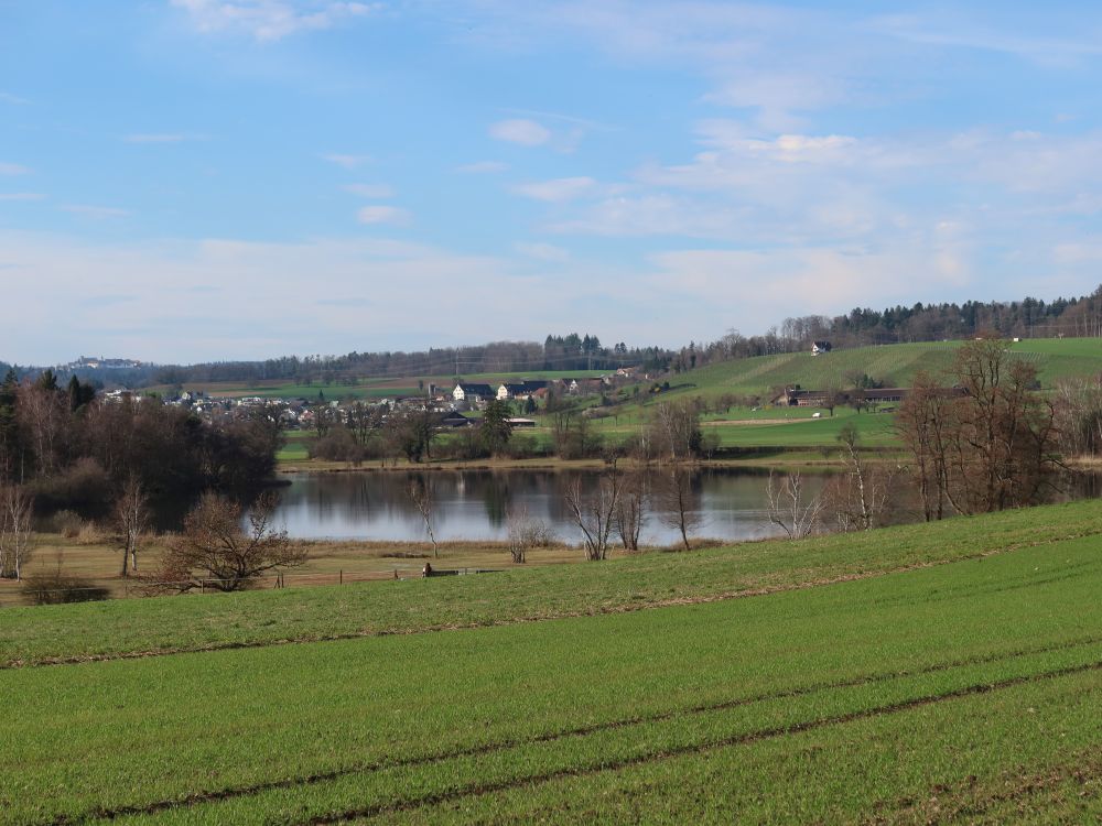 Oberer Katzensee