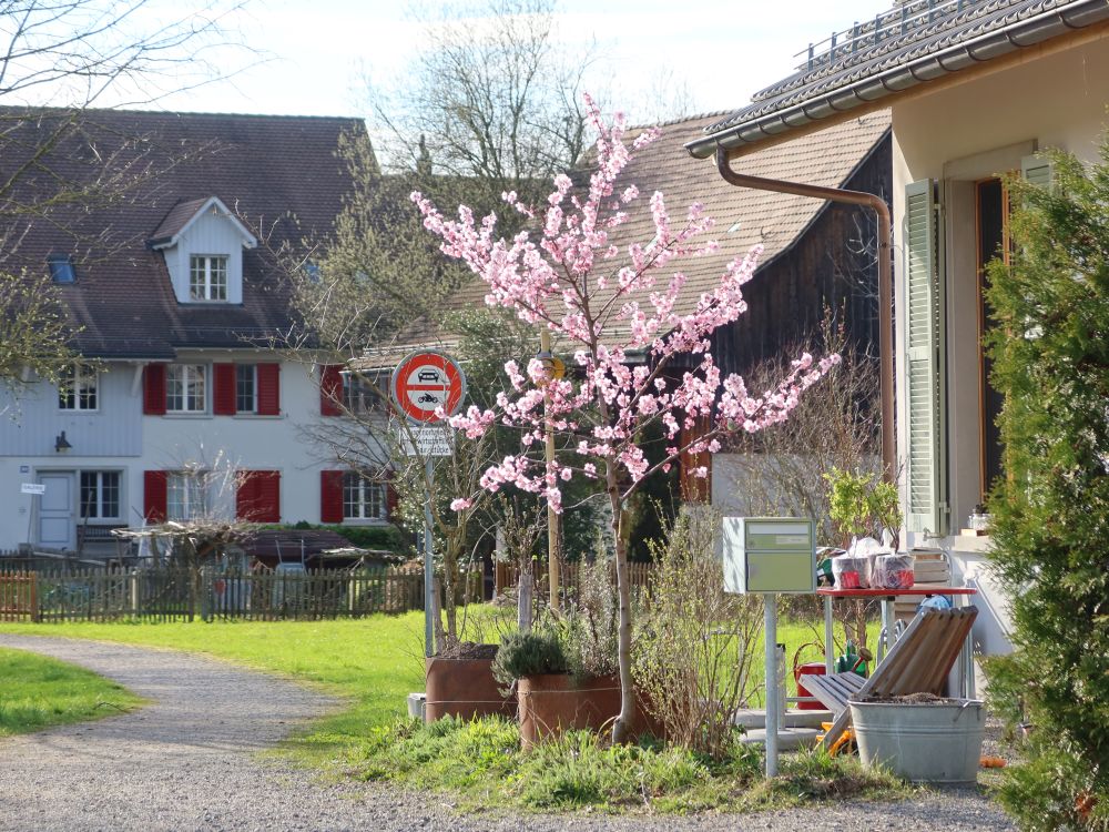 Im Sankt Blasienhof