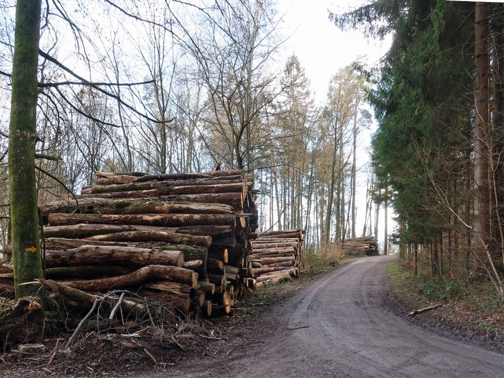 Holzstapel