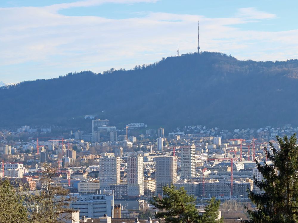 Zürich und Üetliberg