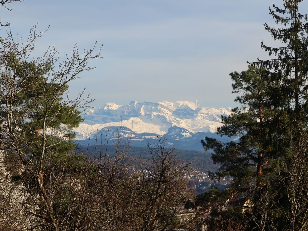 Glarner Alpen