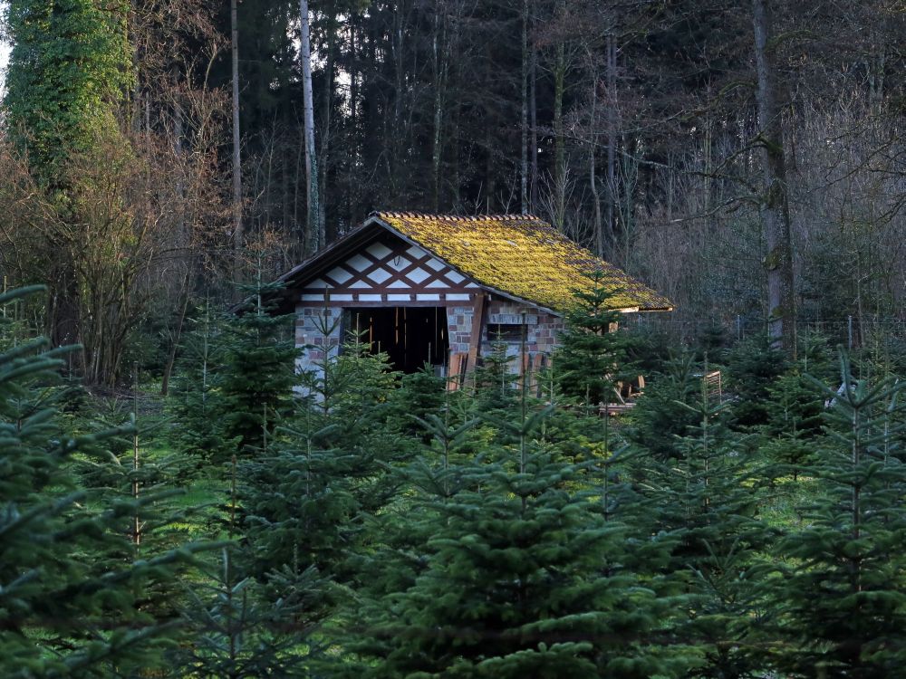 Waldhütte