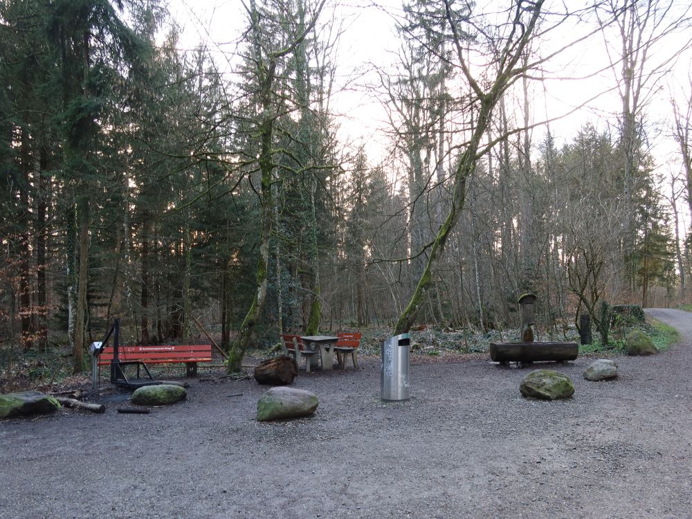 Grillplatz am Hönggerberg