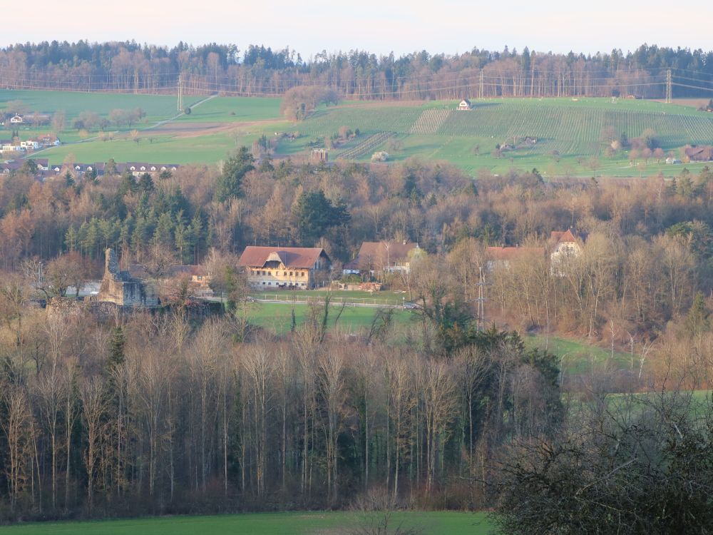 Ruine Altburg und Gut Katzensee