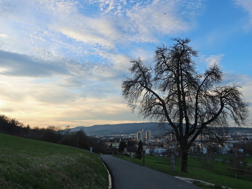 Blick Richtung Regensdorf