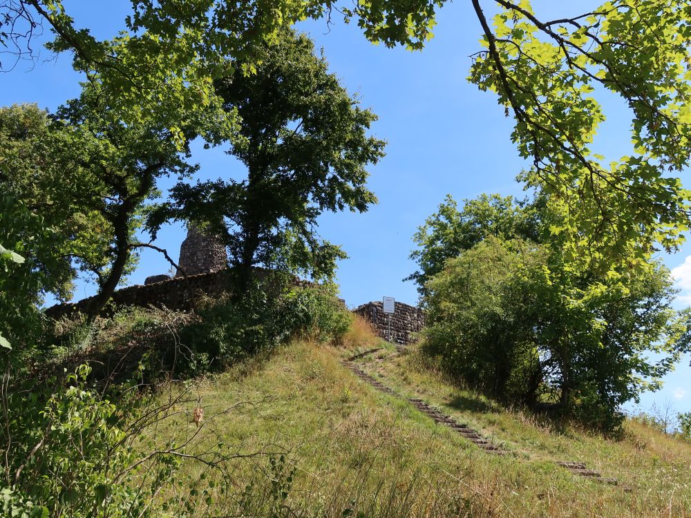 Ruine Alt-Regensburg