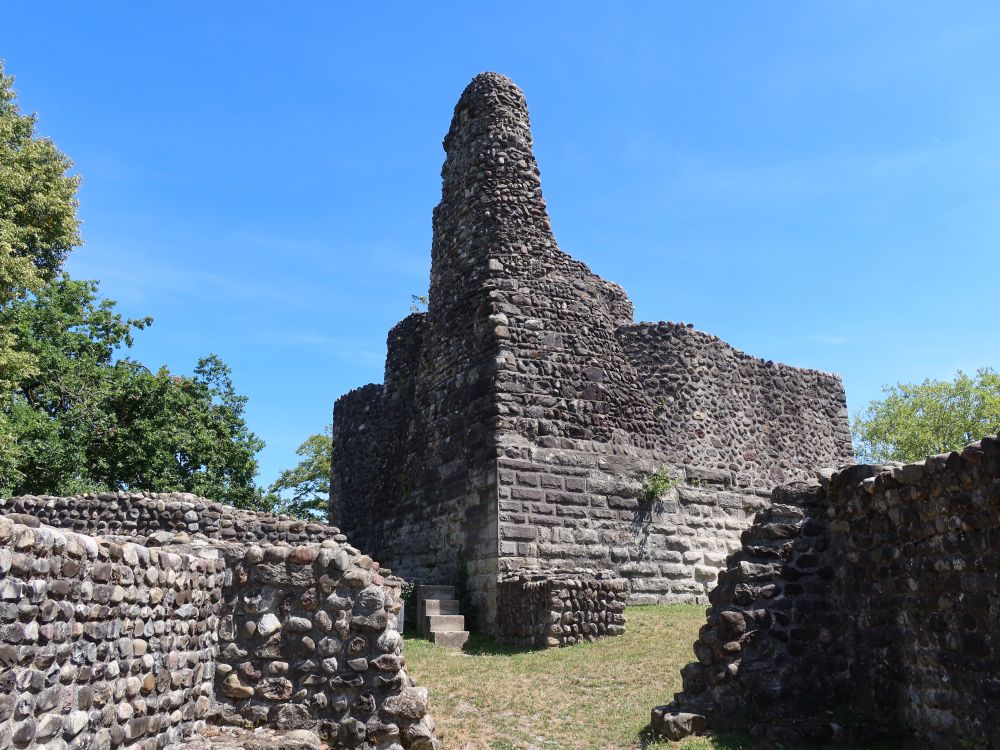 Ruine Alt-Regensburg