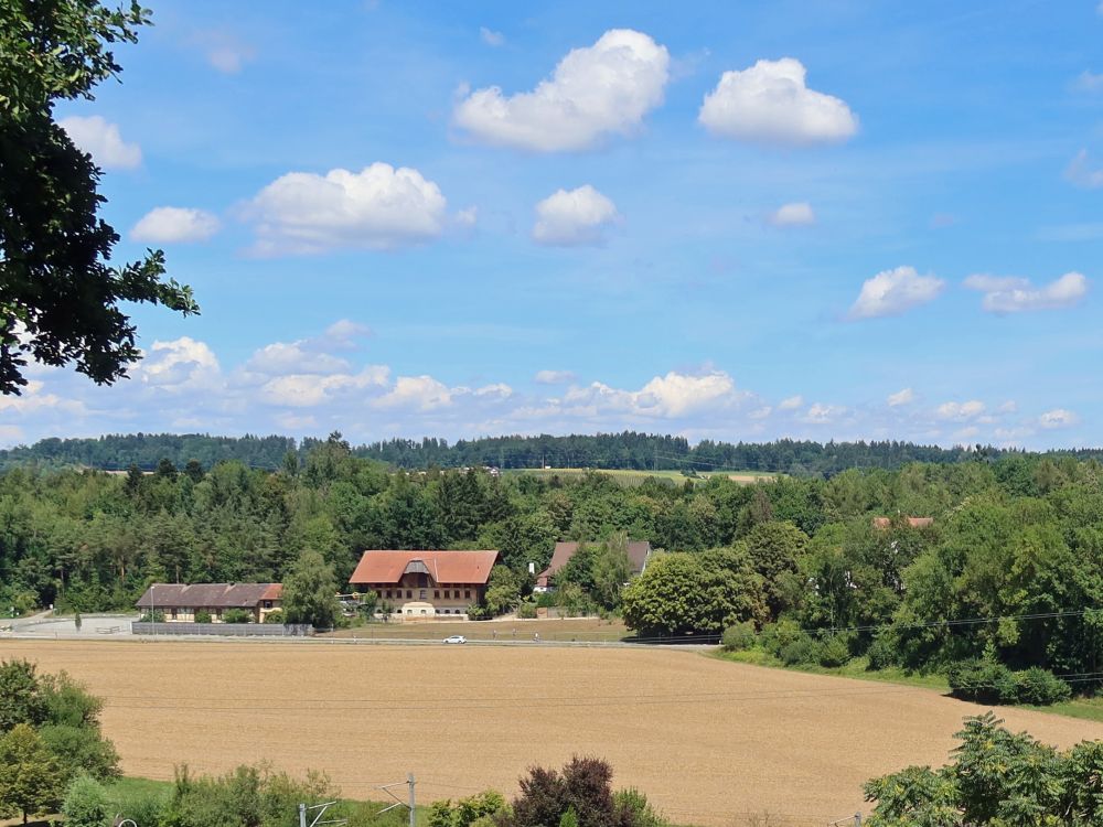 Gut Katzensee