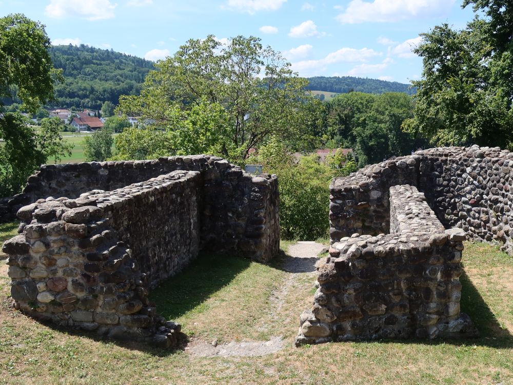 Ruine Alt-Regensburg