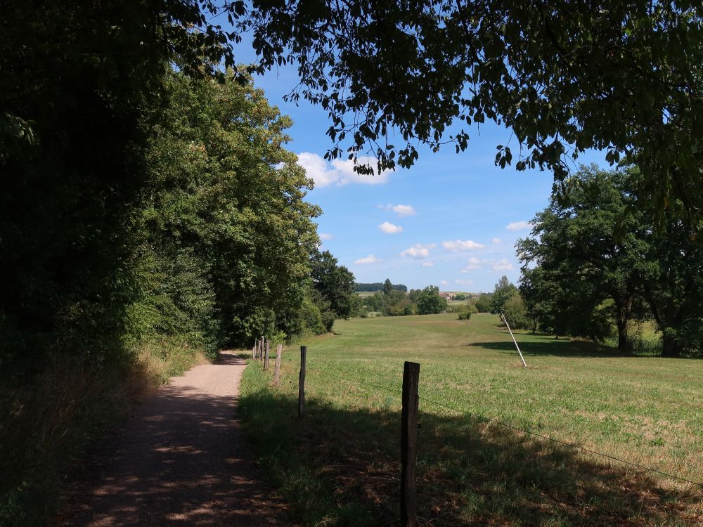 Weg am Waldrand