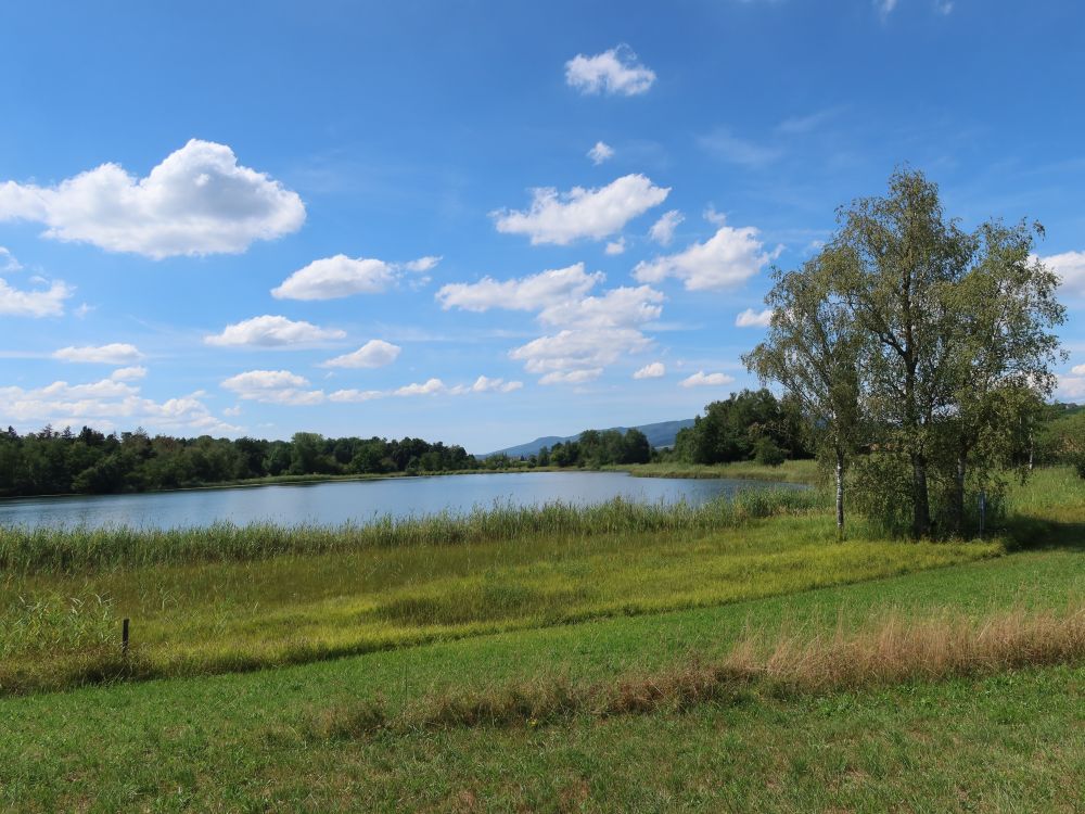 Oberer Katzensee