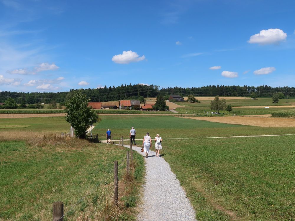 Bauernhof Im Weingarten