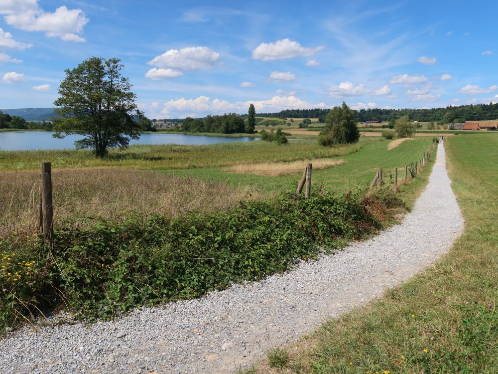 Weg am Oberen Katzensee