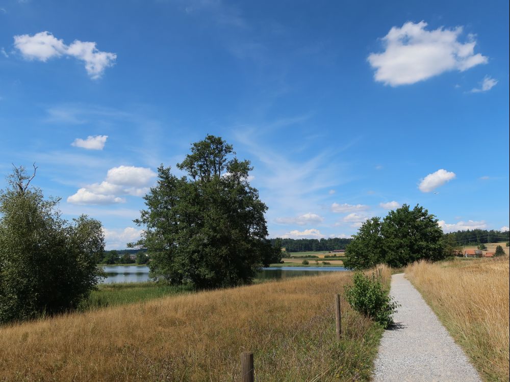 Weg am Oberen Katzensee