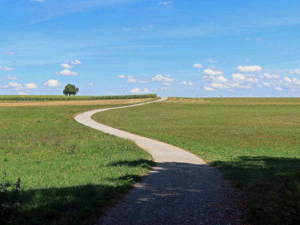 Weg beim Oberen Katzensee