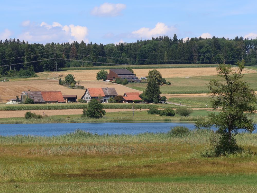 Bauernhof Im Weingarten