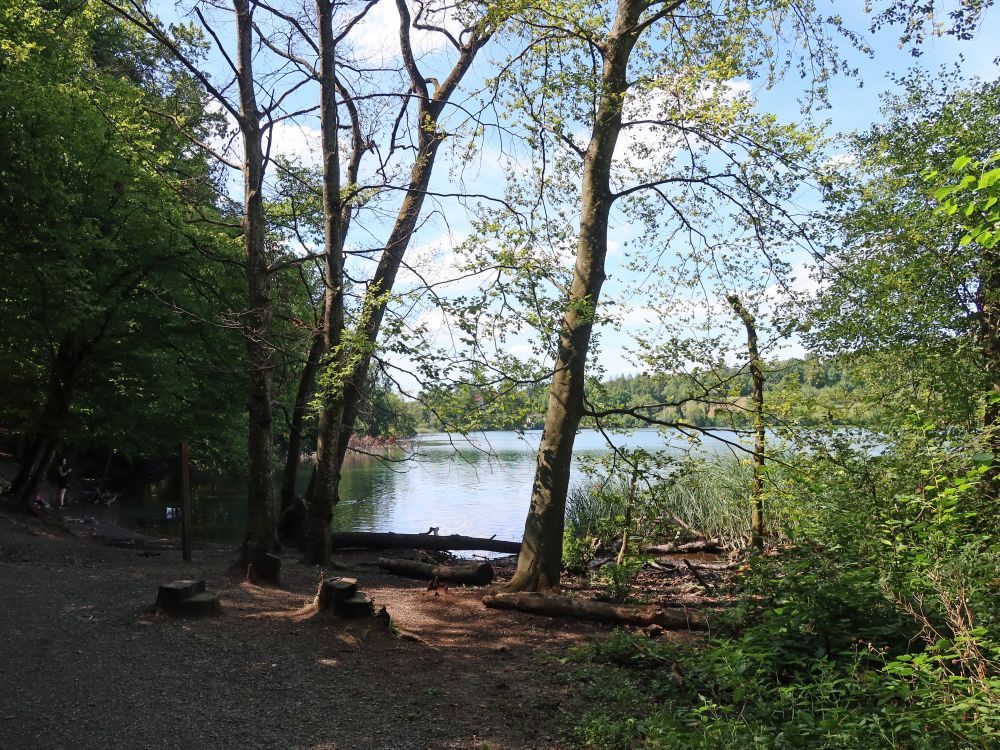 Seeufer am Unteren Katzensee