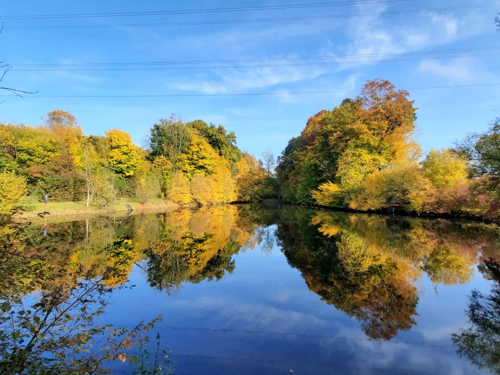 Teich am Fortibach