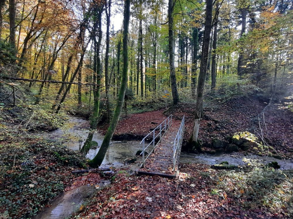 Steg über den Scheidbach