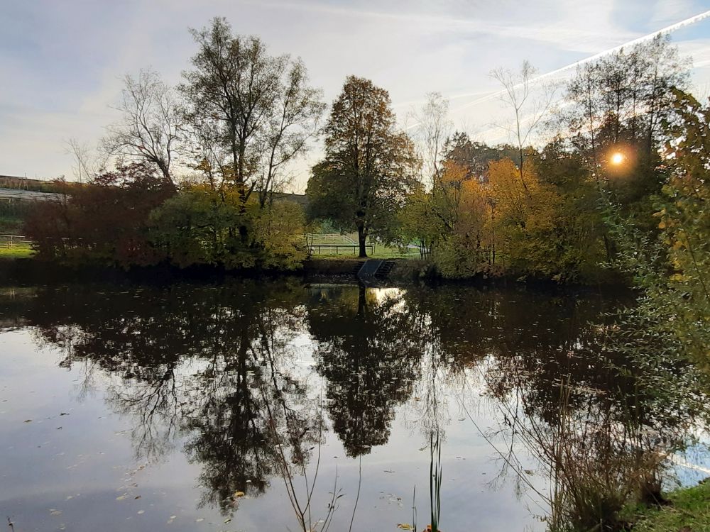 Teich am Fortibach