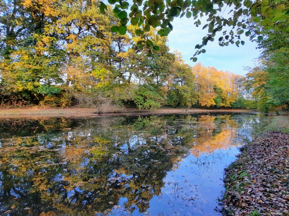 Teich am Fortibach