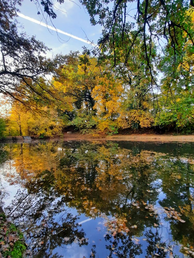 Teich am Fortibach