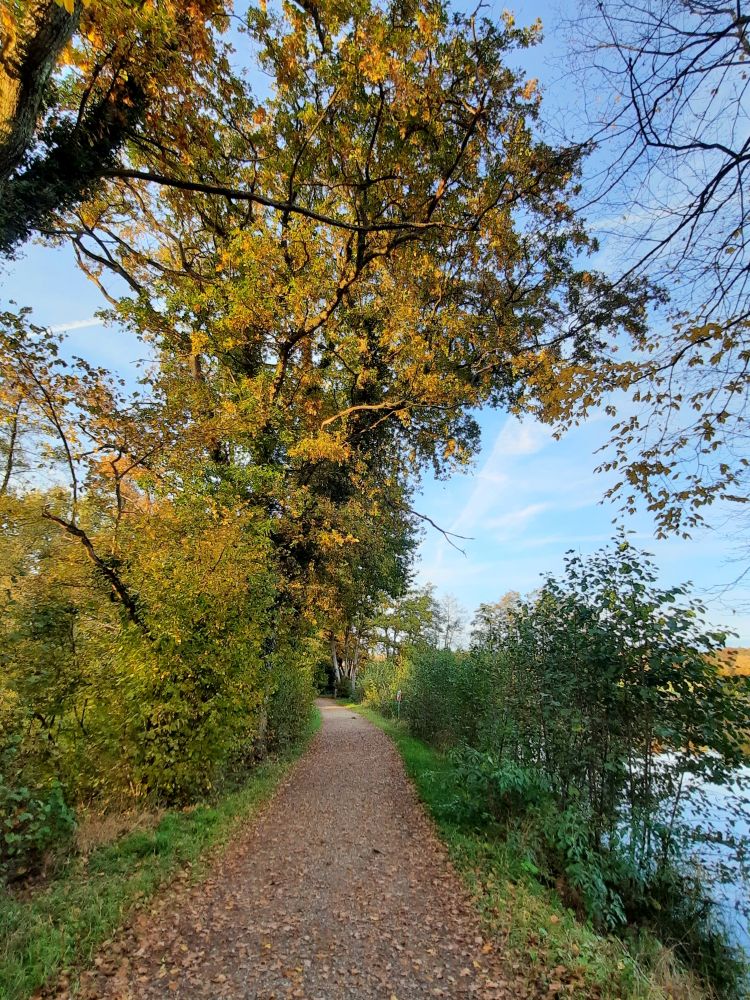 Uferweg am Bommeweier