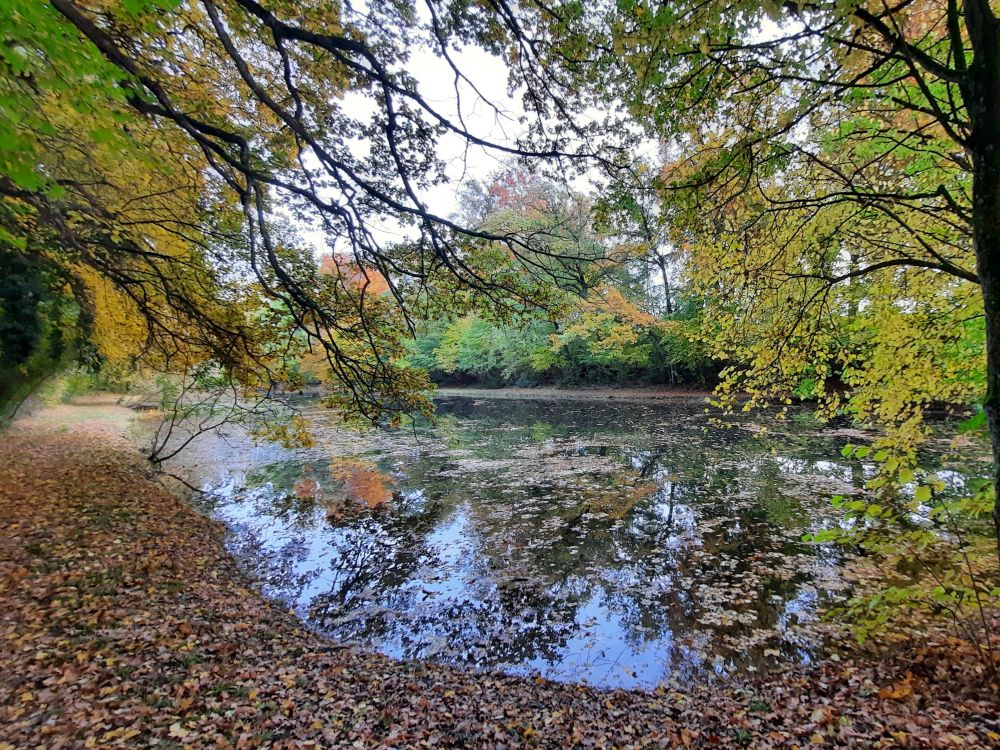 Teich am Fortibach