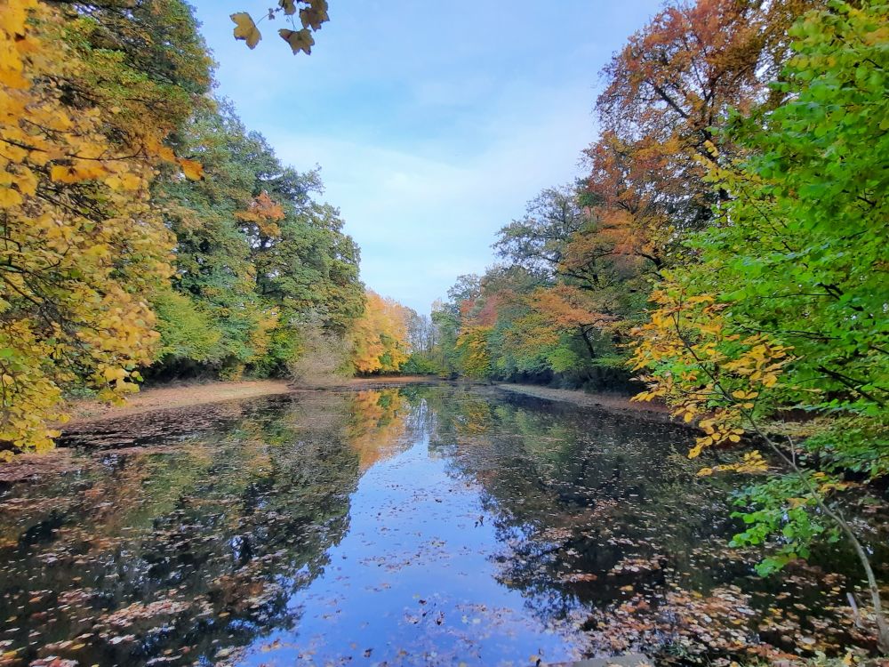 Teich am Fortibach