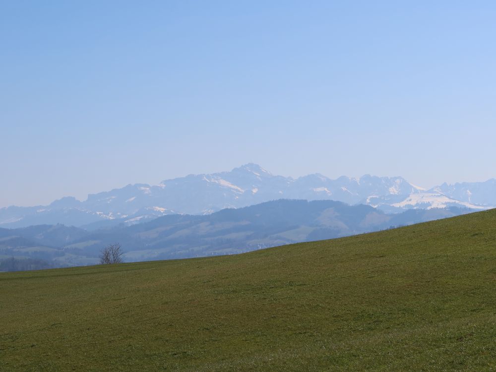 Säntis