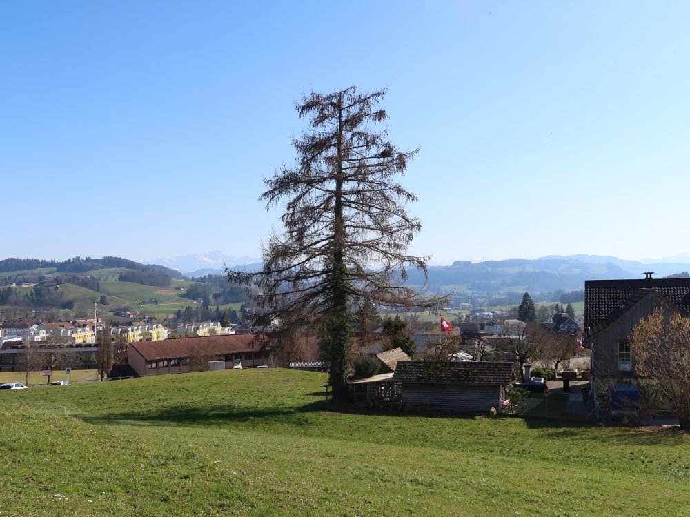 Säntis über Bazenheid