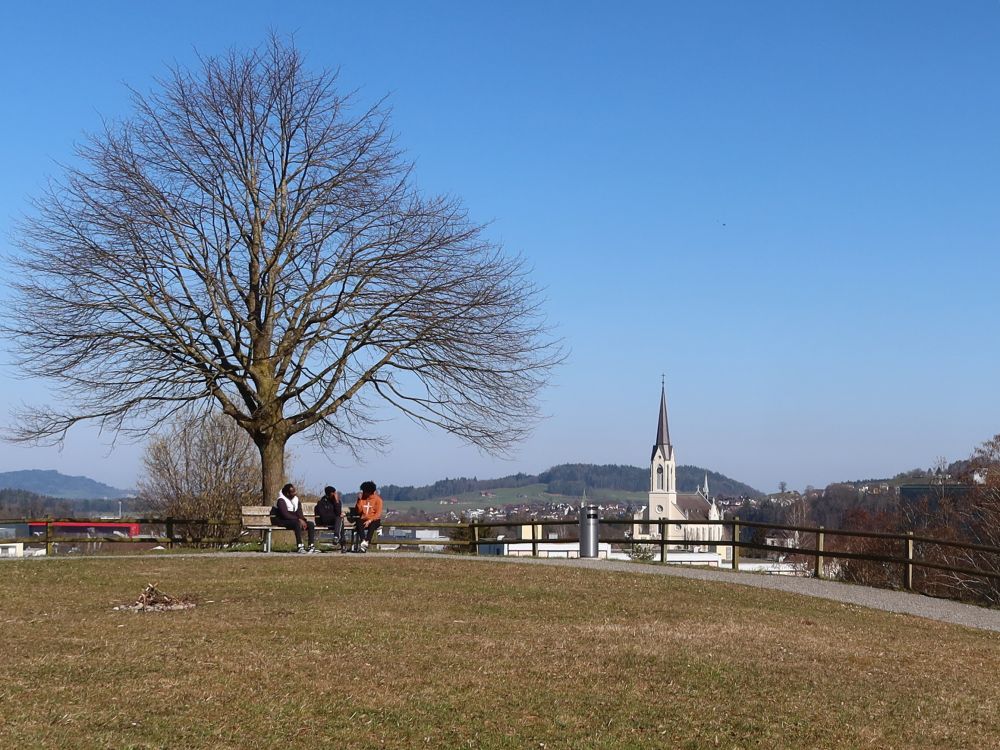 Baum auf dem Lindenhügel