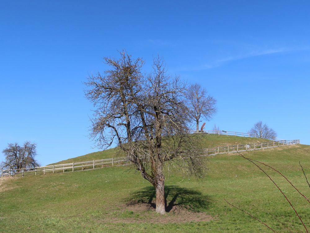 Lindenhügel