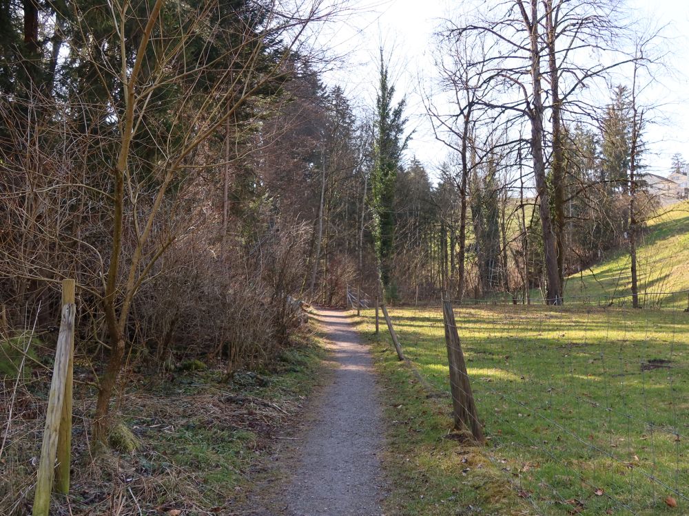 Hörachbachweg