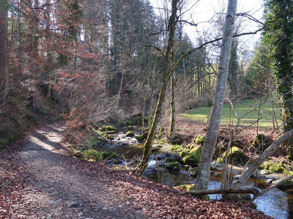 Hörachbachweg