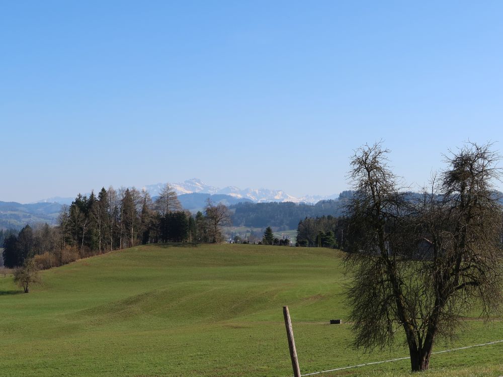 Blick Richtung Säntis