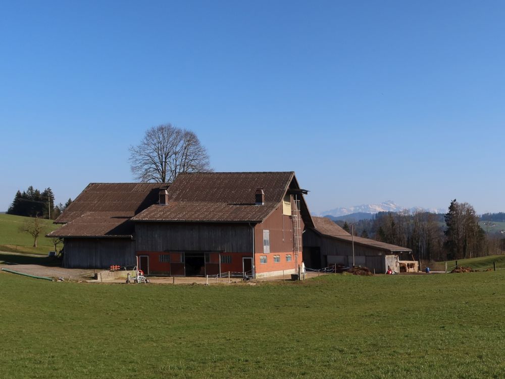 Tobelschür