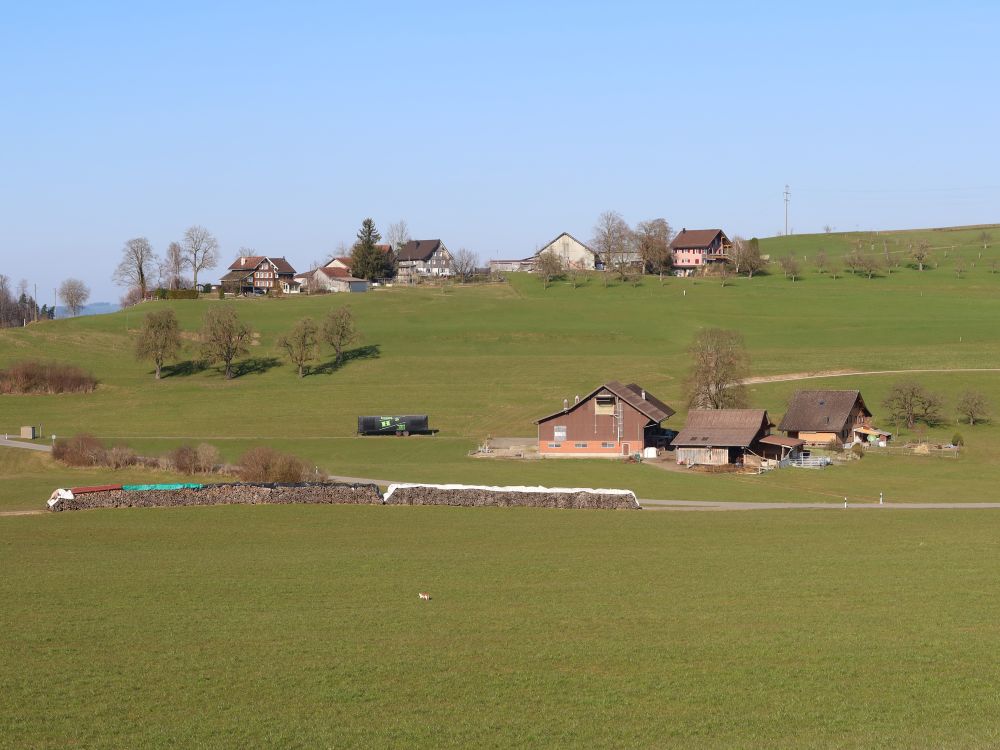 Hänisberg