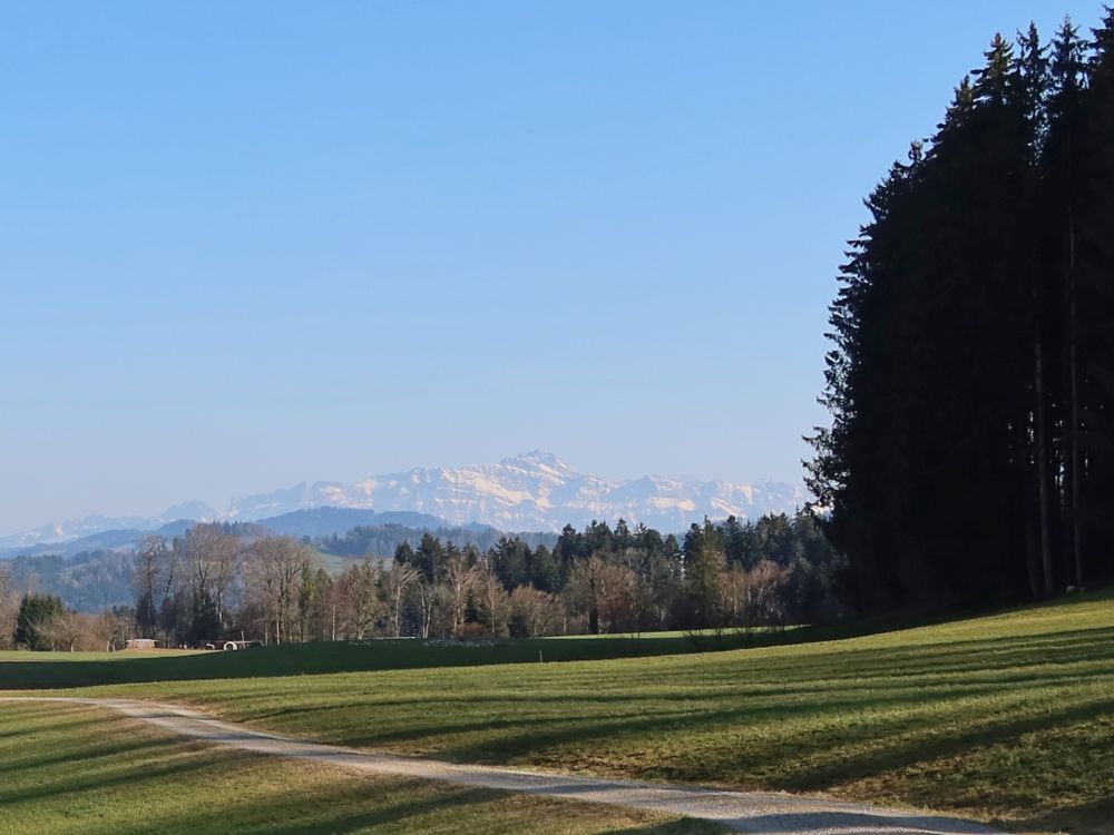 Säntis