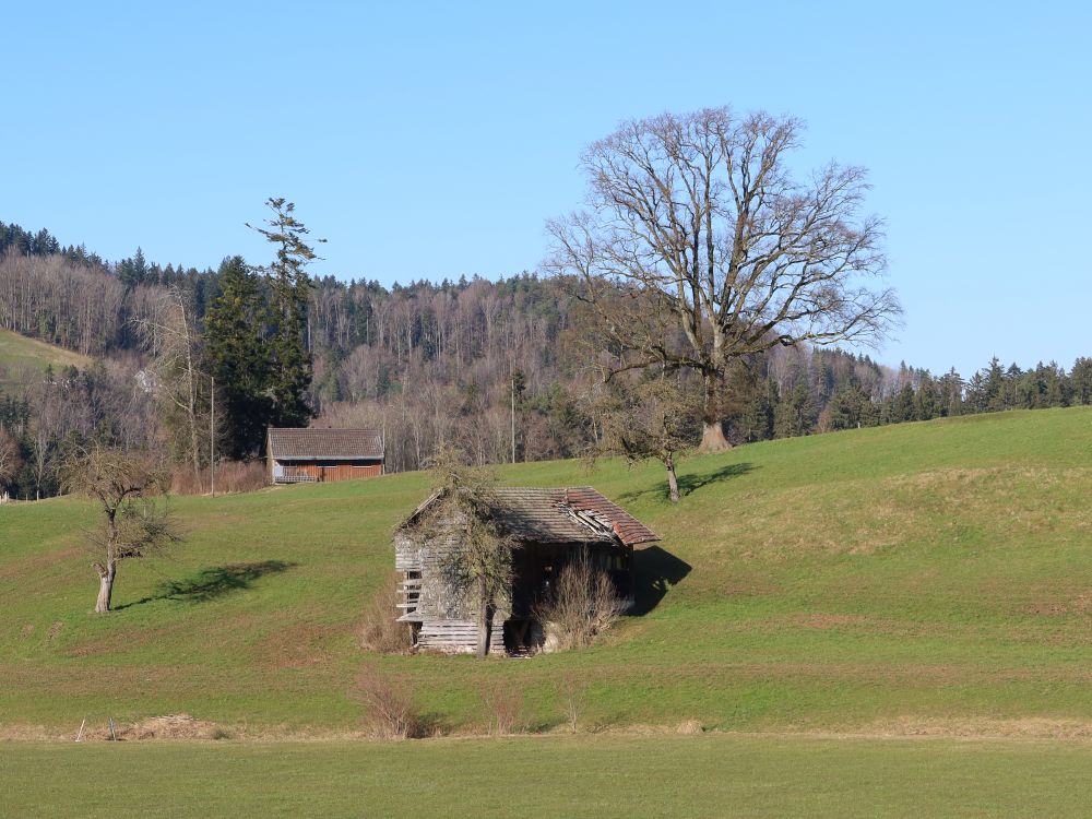 Hütte bei Müselbach