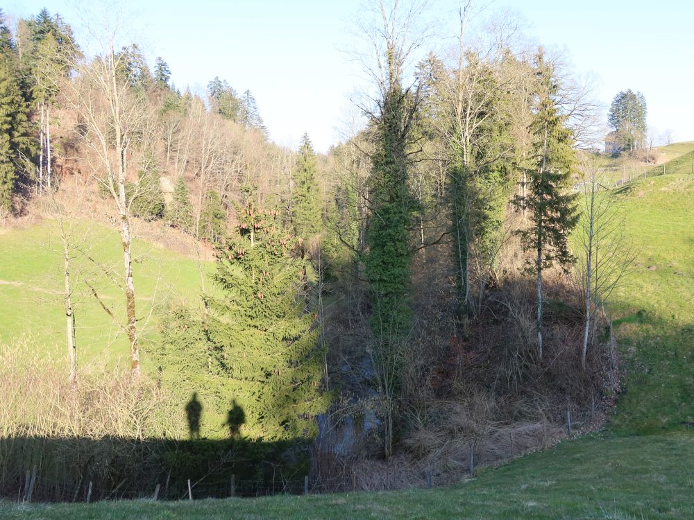 Schatten