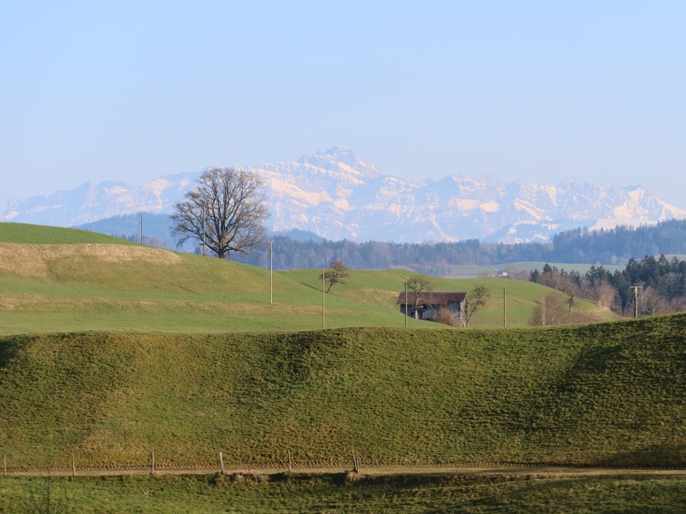 Säntis