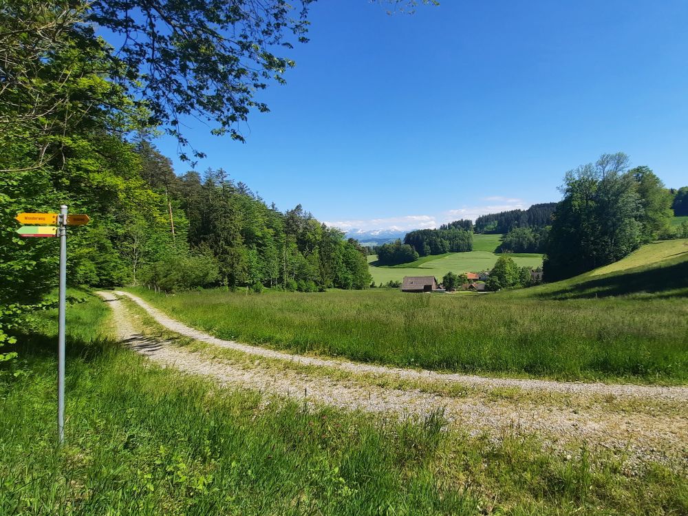 Wanderweg oberhalb Sackrütli