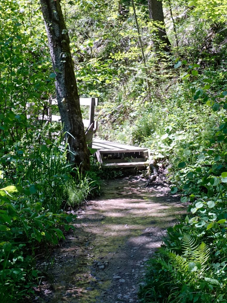 Holzsteg am Giessenbach