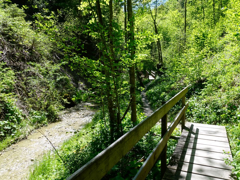 Holzsteg am Giessenbach