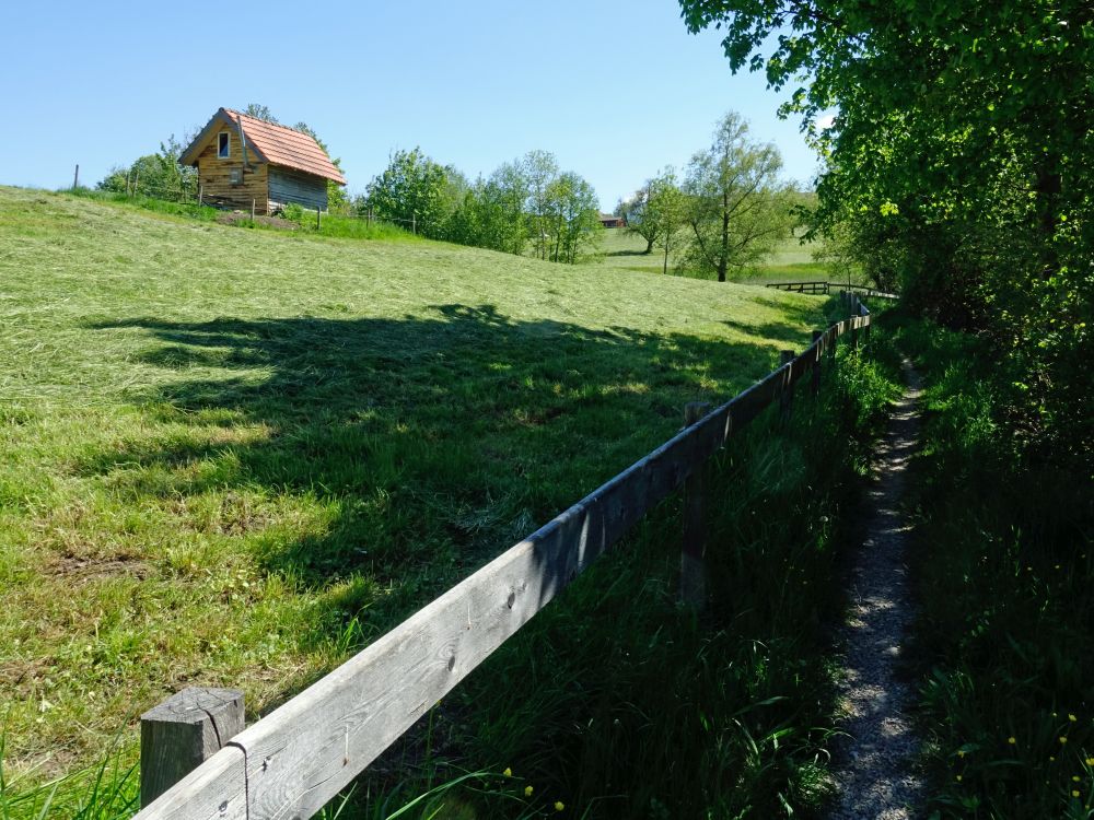 Hütte bei Dietschwil