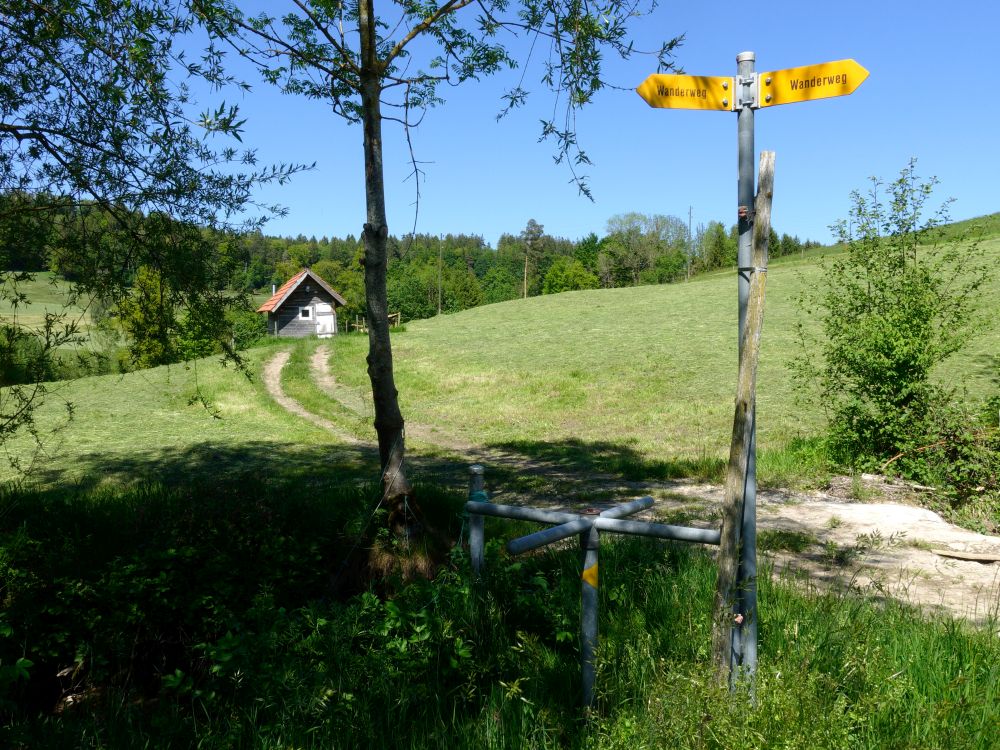 Hütte bei Dietschwil