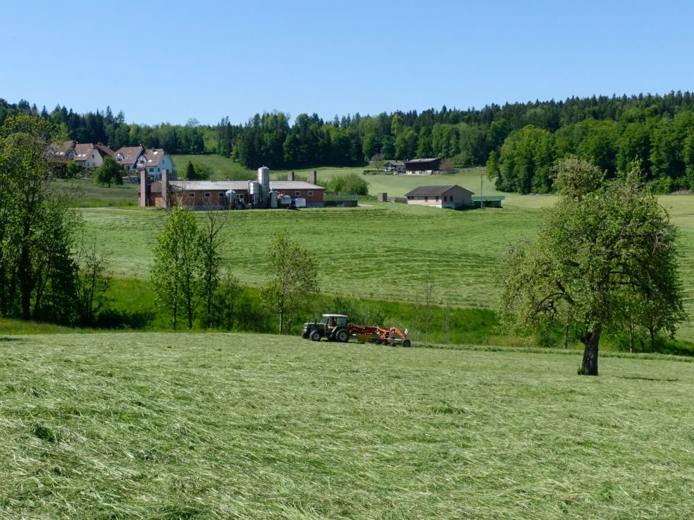Bauernhof bei Dietschwil